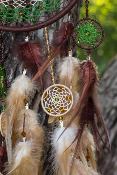 chamanisme près de caen
