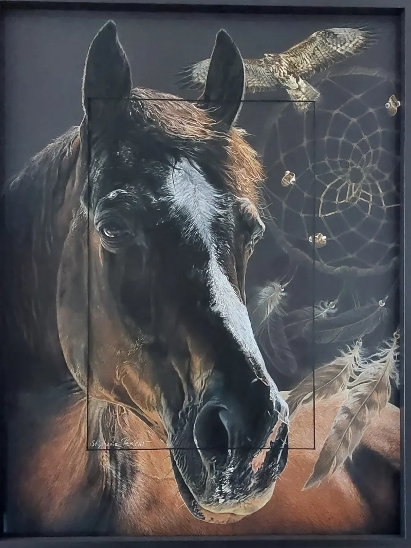 Rencontrer la médecine cheval à Caen