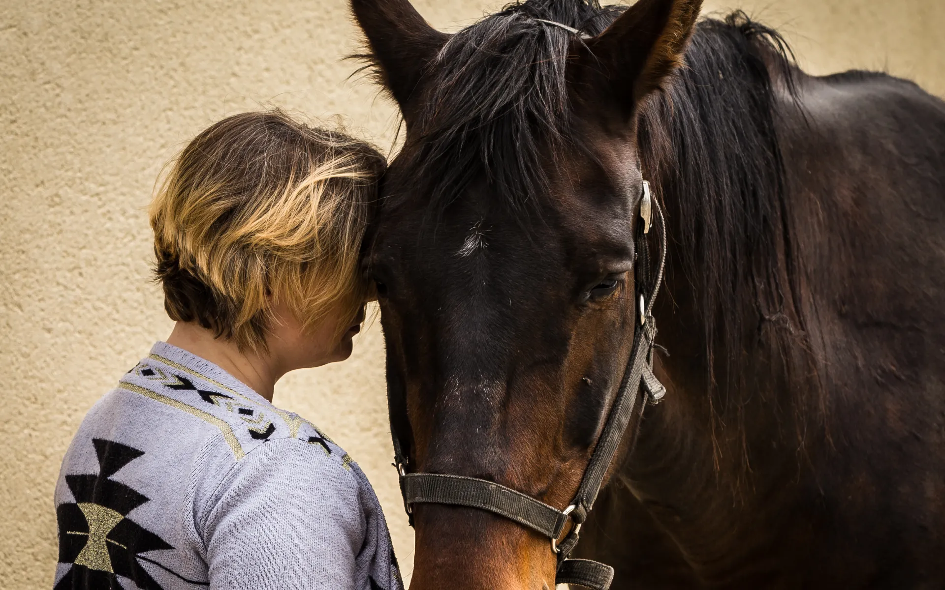 Séance Equine Holistique à Caen